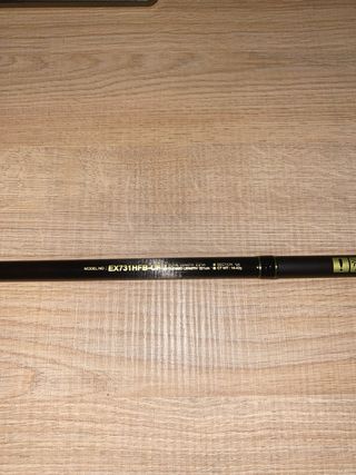 Caña de pesca casting Daiwa