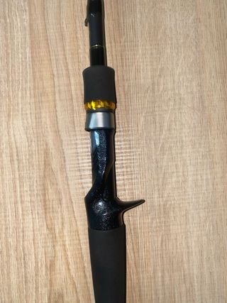 Caña de pesca casting Daiwa