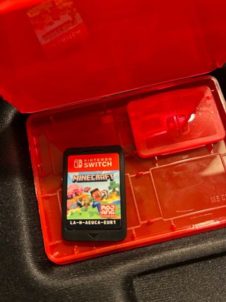 Minecraft Nintendo Switch