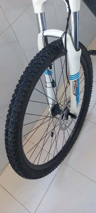 Bicicleta Orbea L-26