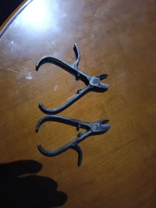 Tijeras para cosecha de naranja