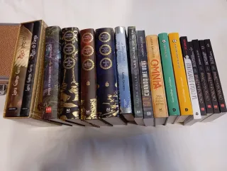 Pack 17 libros de Laura Gallego