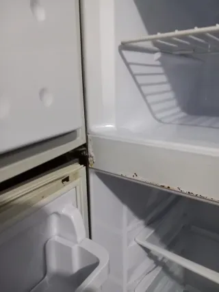 Nevera Indesit con Congelador