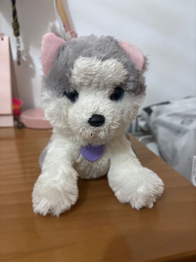 Peluche perro husky con collar