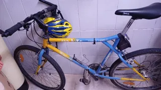 Bicicleta de adulto