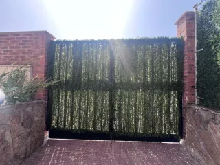 Puerta y reja de hierro con barrotes