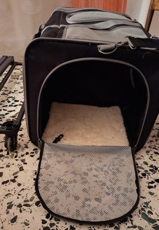 Transportín para mascotas con ruedas