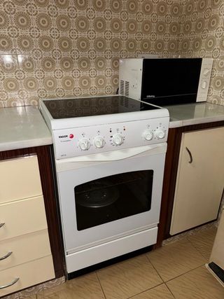 Horno vitrocerámica Fagor