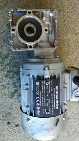 Motor eléctrico con reductora