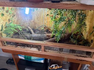 Terrario para reptiles