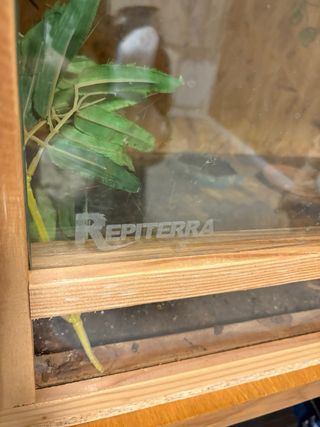 Terrario para reptiles