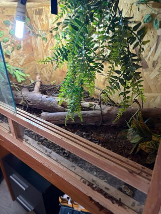 Terrario para reptiles