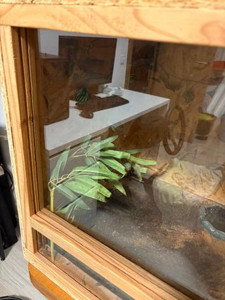 Terrario para reptiles