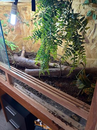 Terrario para reptiles