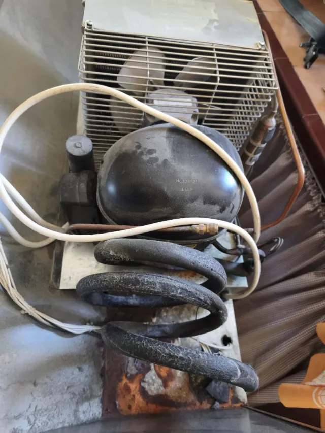 Vitrina expositora para tapas refrigerada