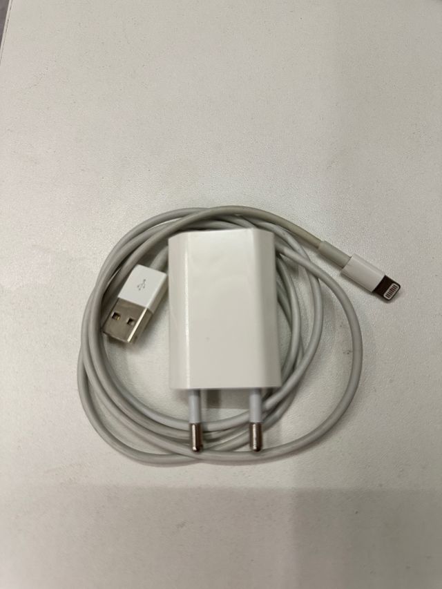 Caricatore USB Apple + cavo Lightning