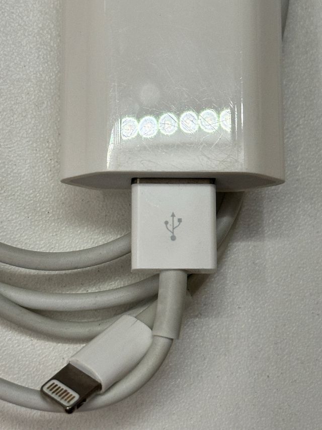 Caricatore USB Apple + cavo Lightning