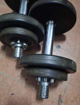 2 Mancuernas 10 kg cada una