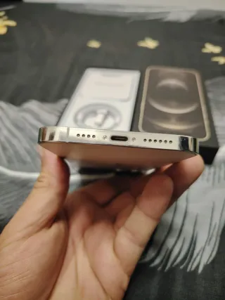 iPhone 12 Pro Max Argento