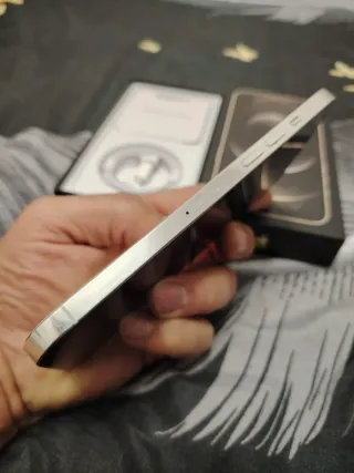 iPhone 12 Pro Max Argento