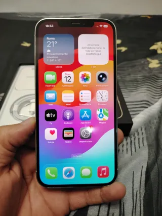 iPhone 12 Pro Max Argento