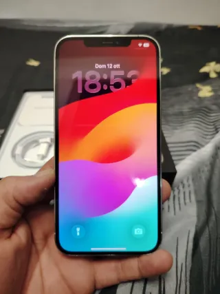 iPhone 12 Pro Max Argento