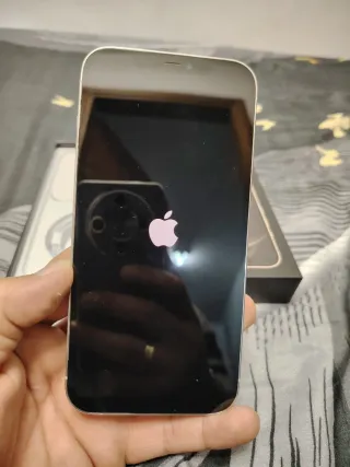 iPhone 12 Pro Max Argento