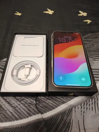 iPhone 12 Pro Max Argento