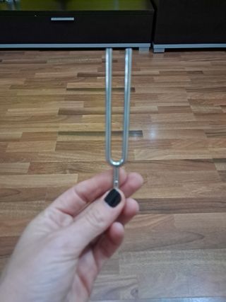 Diapasón Clarissima con funda