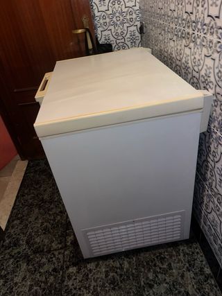 Arcón Congelador Edesa CHE-950 