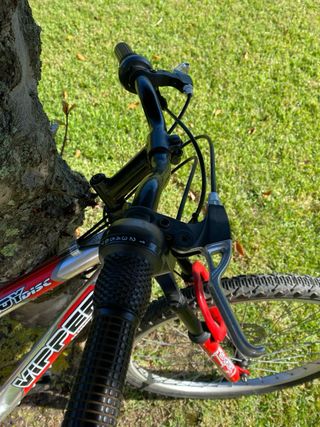 Bicicleta de montaña
