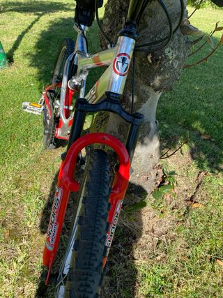 Bicicleta de montaña