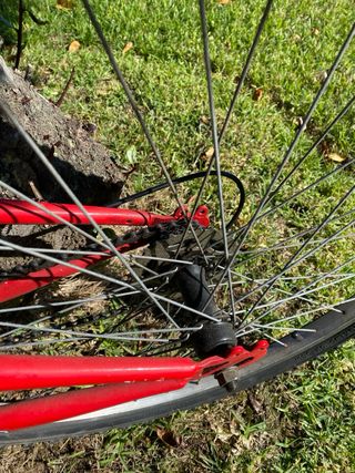 Bicicleta de montaña
