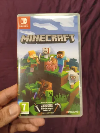 Minecraft Nintendo Switch