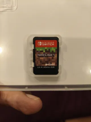 Minecraft Nintendo Switch