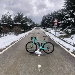 Bianchi Infinito XE. Talla 55 