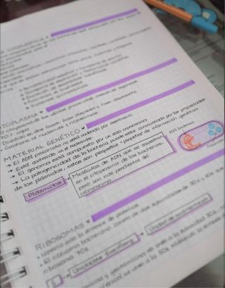 Profesora de refuerzo/niñera