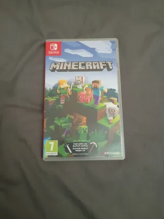 Minecraft Nintendo Switch