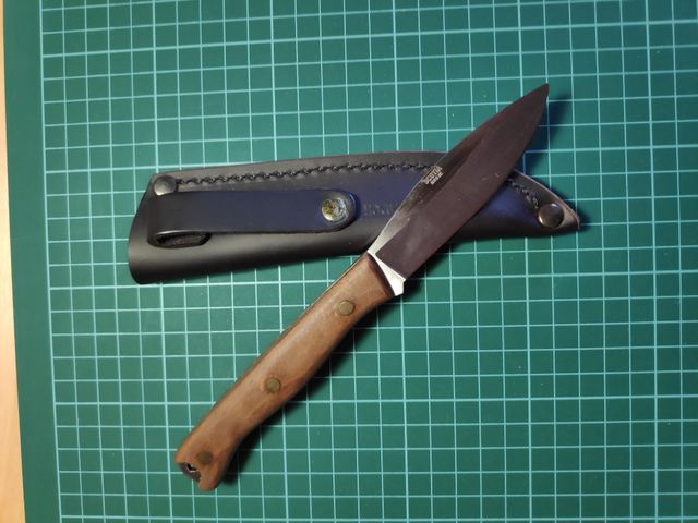 Herramienta Entorno Naturaleza Condor