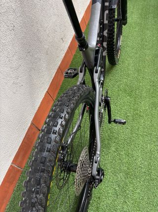 Bici Marin Alpine Trail Carbón 2