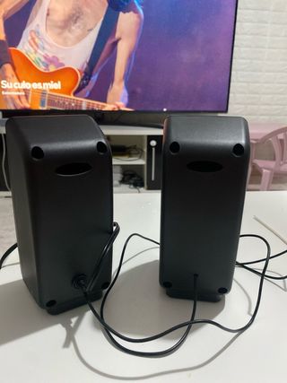 Altavoces Trust negros