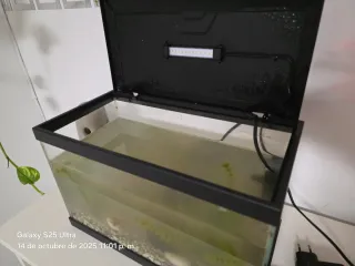 Acuario 25L con tapa y luz LED y filtro  + extra