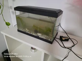 Acuario 25L con tapa y luz LED y filtro  + extra