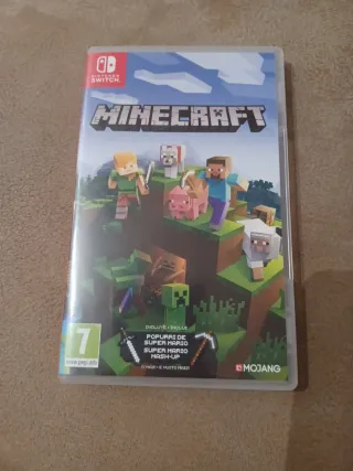 Minecraft Nintendo Switch