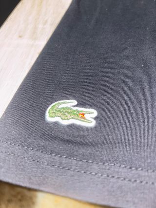 Camiseta Lacoste 