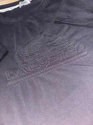 Camiseta Lacoste 