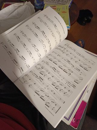Libro Lenguaje Musical Melódico IV Grado Elemental