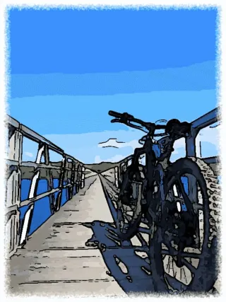 E-Bike
 Haibike Xduro Nduro 7.0