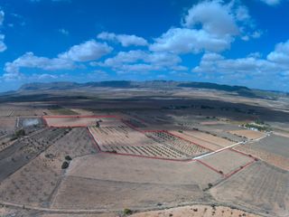 Parcela Urbanizable Yecla 61.223 m2 con Agua