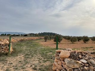 Parcela Urbanizable Yecla 61.223 m2 con Agua